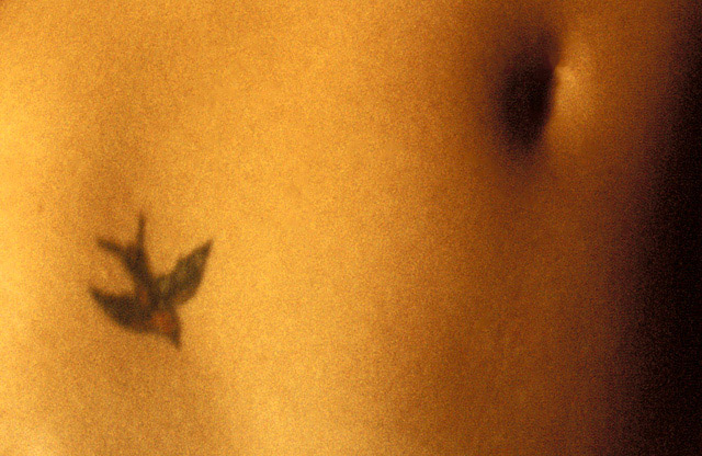 small bird tattoo. Small Tattoo At 20, a beautiful little bird, 