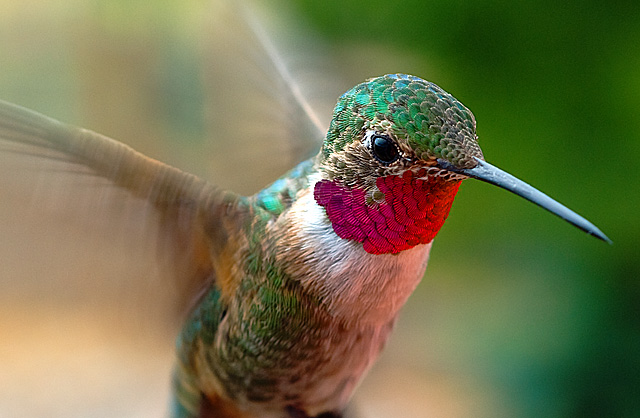 macro lens