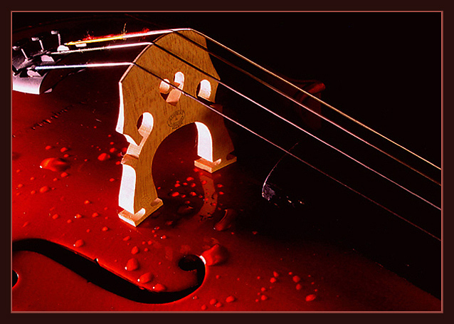 'Water Under the Bridge' (Cello Bridge) 'Water Under the Bridge' (Cello Bridge)
