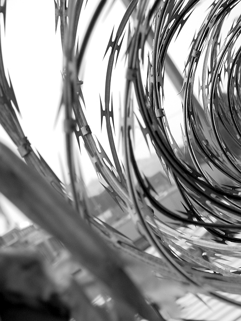 Razor Curves