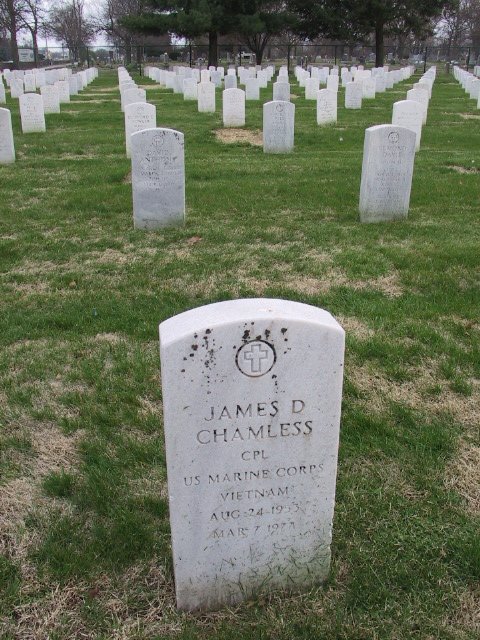 Life's Final Curve.  Springfield National Cemetery