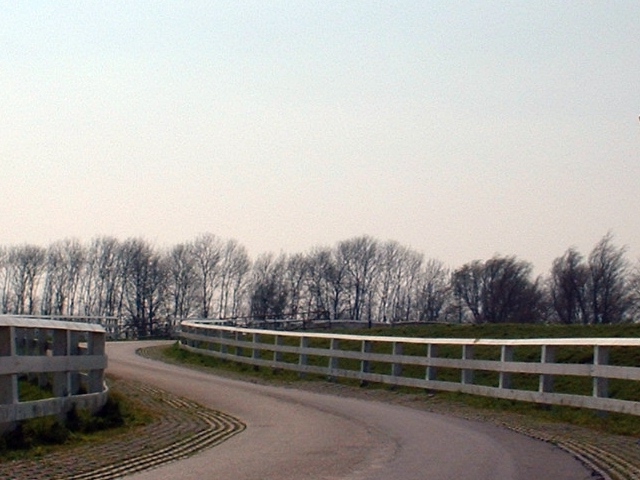 Curvy Road