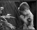 Rain, Rain, Stay and Play!