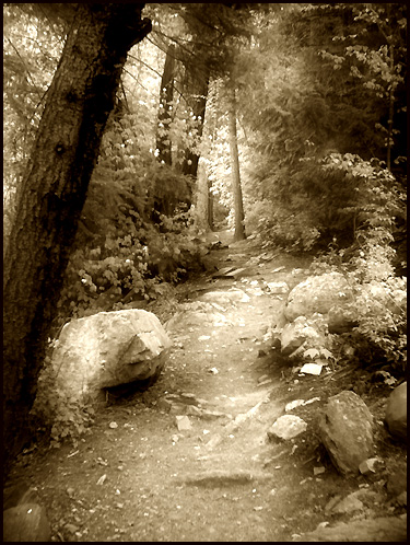 Path Through The Woods