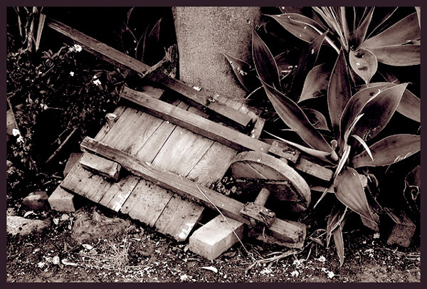 Abandoned Wheelbarrow