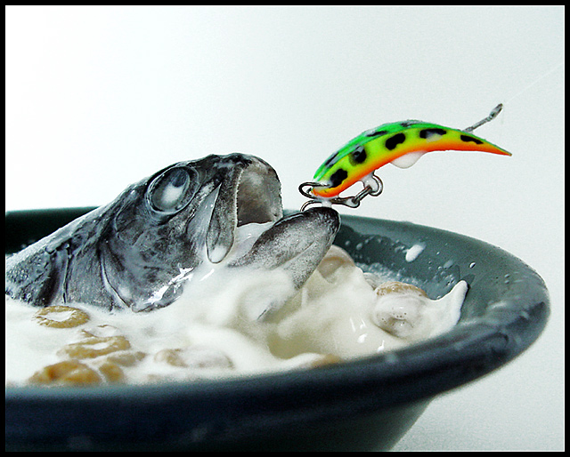 Got Fish?