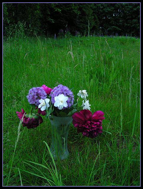 Country Living
