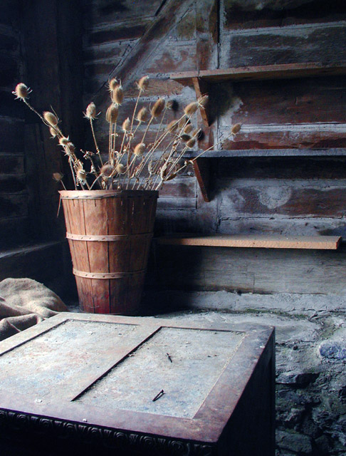 Cellar Still Life