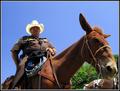 In The Saddle