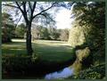 Relax with the Reflections--after cutting the grass!