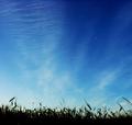 Breathing Space