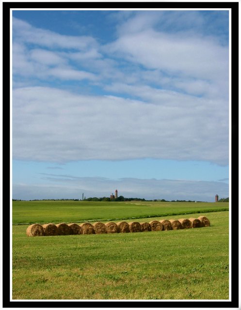 Harvest