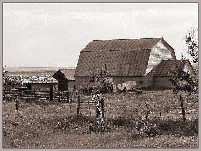 Desolate Loneliness