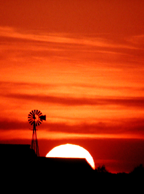 Watching the sun go down on the farm.