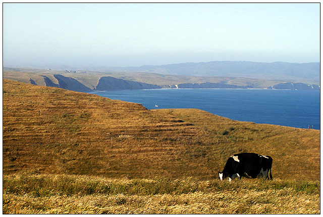 Coastal Farm