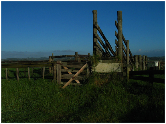 Stock loading ramp