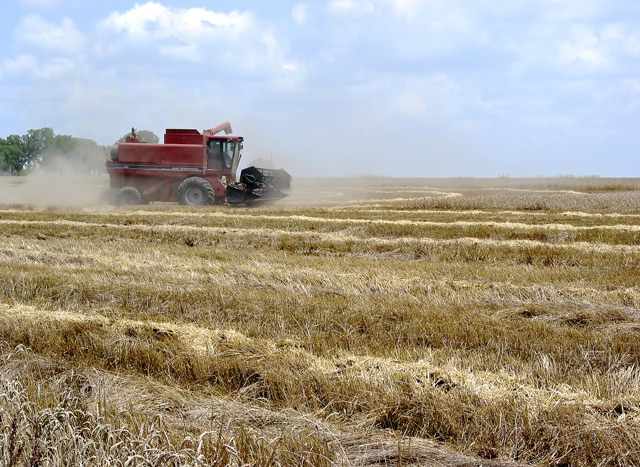 Dude on a Combine....