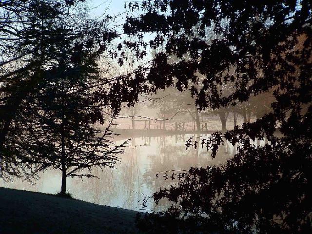 Misty Morning Lake