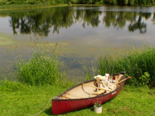 Canoe By the Pond