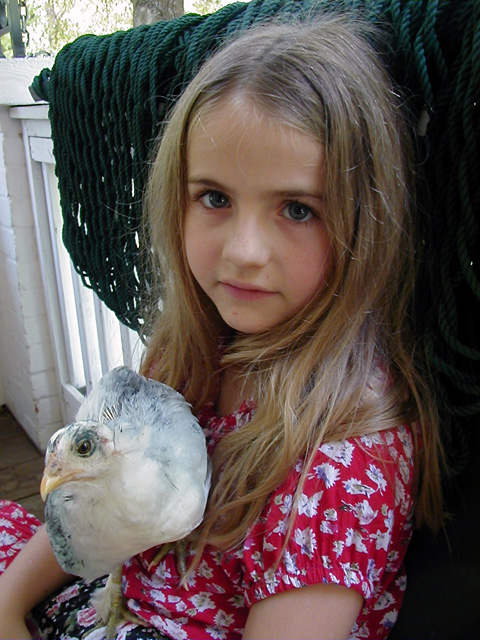 lucille and her chicken