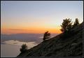 Above the Bay