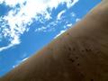 Blue Skies, Beach Sand - Colorado Sand Dunes