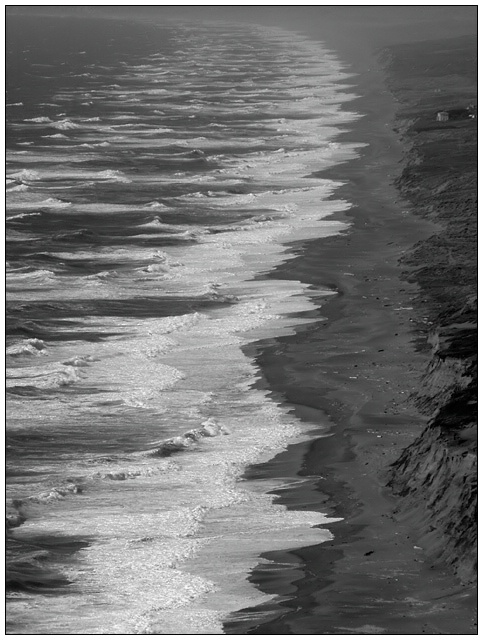 Beach Backyard