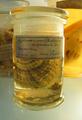 Preserved
