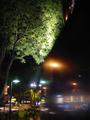 Night sightings reflected...