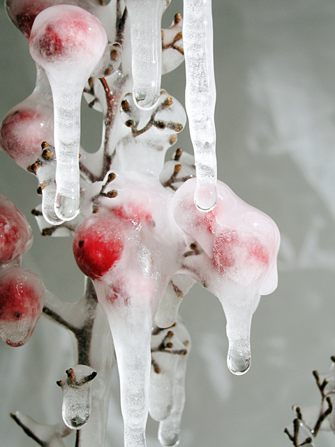 Frozen Stiff