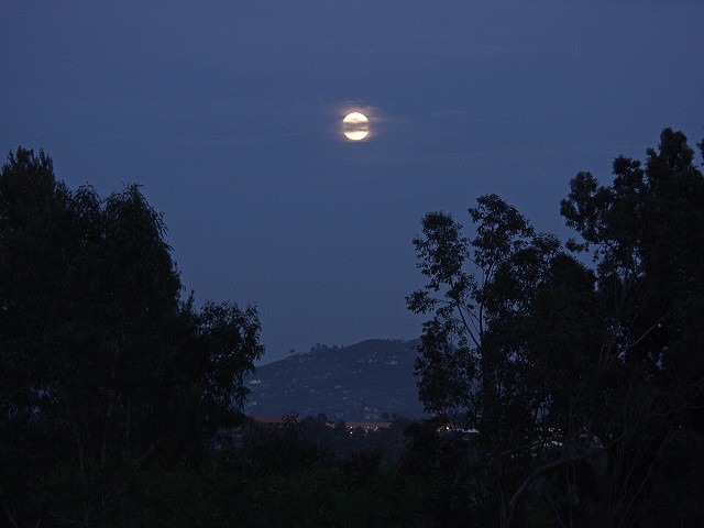 Moon Obscured By Clouds