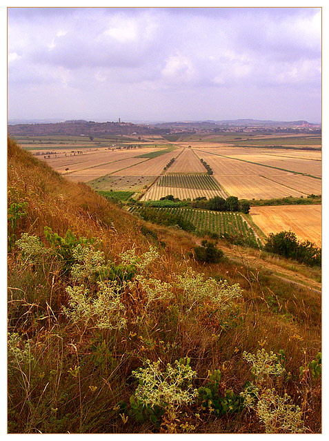 Agricultural Circle