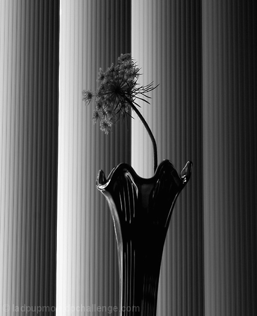 Reaching for the light