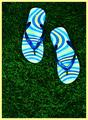 Flip Flop Sandals