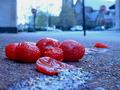 Rotting