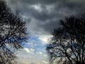 grises cielos azules