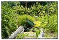 Grant's Garden