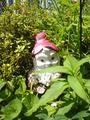 Garden Gnome