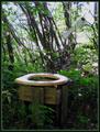 Garden Nature Toilet