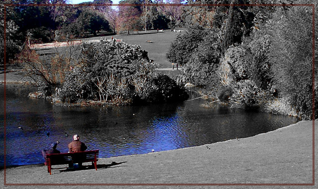 Enjoying the beauty of the Royal Botanical Gardens (Melbournes largest garden{s})