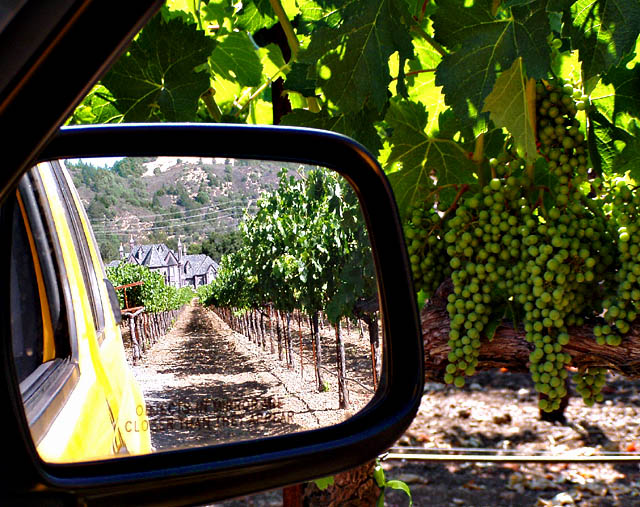 Leaving the Winery