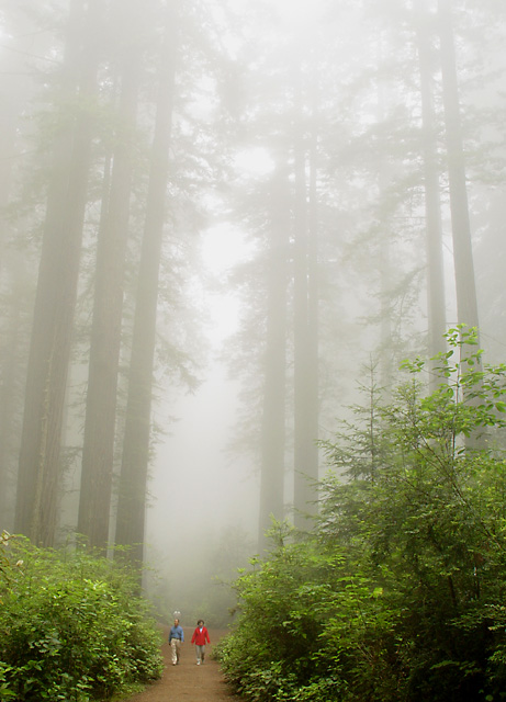 Garden of the Giants