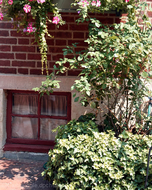 Window