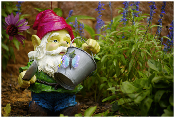 A Garden Gnome