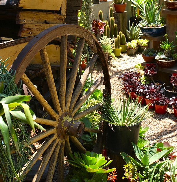Garden Wheel
