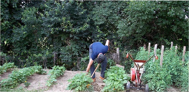 Gardening