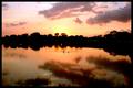 1998 The Summer of the Swans,James Clark