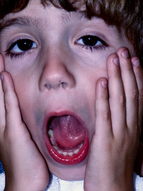 Home Alone