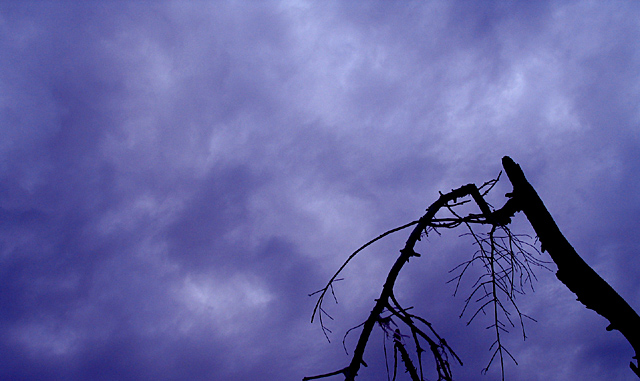Overcast
