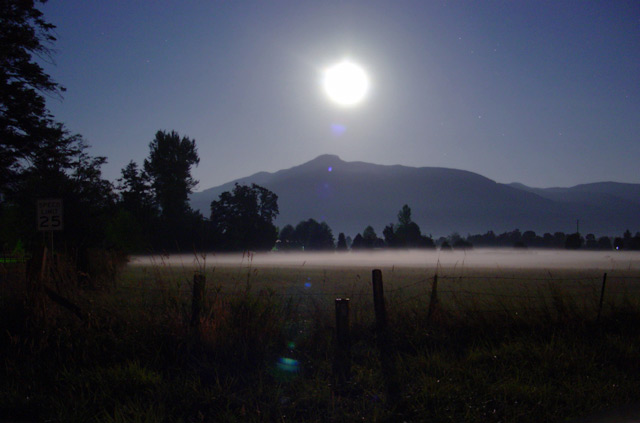 Foggy field at 2am